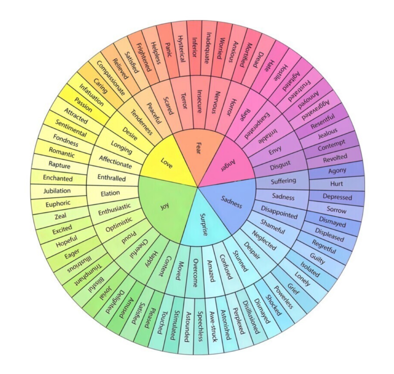 Emotion Wheel | Charlie Health